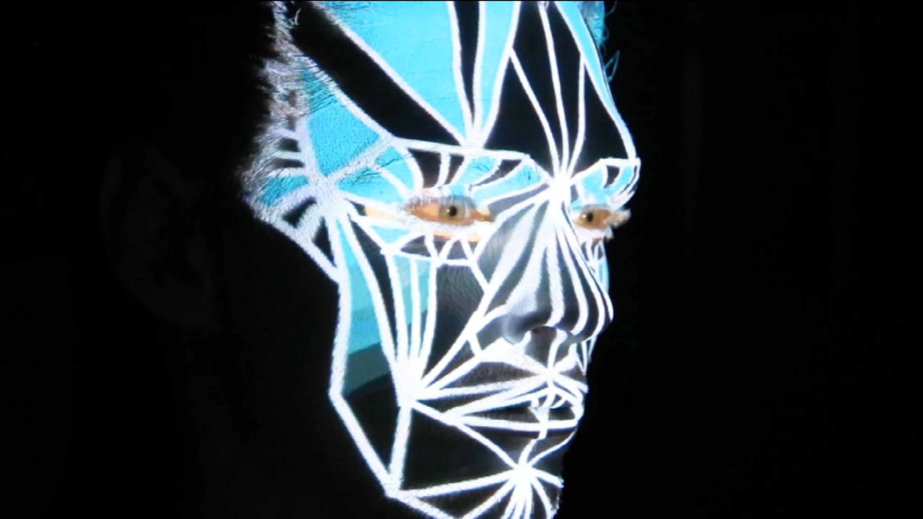Skizo Faces